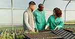 Greenhouse, group and people with plants for farming, harvest organic vegetables and agro. Growth, team at nursery and agriculture in garden for ecology, botany and sustainability in small business