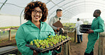 Woman, tray plants and farming in greenhouse for agriculture, eco friendly gardening and sustainability. Farmer people in portrait with green sprout, vegetables growth and happy for agro development