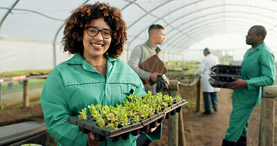 Buy stock photo Woman, tray plants and farming in greenhouse for agriculture, eco friendly gardening and sustainability. Farmer people in portrait with green sprout, vegetables growth and happy for agro development