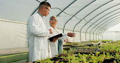 Buy stock photo Science, tablet and people in a farm greenhouse for agriculture, sustainability or growth in medical industry. Teamwork, research or innovation with a man and woman scientist looking at plant life