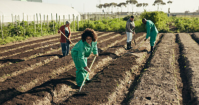 Buy stock photo Woman, land or farming to rake field, healthy food and sustainability in eco friendly agriculture. Diversity, work or africa nutrition ngo farm startup in ecology, health soil or plant in countryside