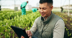 Tablet, innovation and a man in a farm greenhouse for growth, sustainability or plants agriculture. Technology, research and agribusiness with a farmer tracking crops in season for eco science