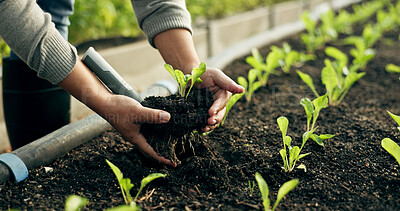 Buy stock photo Farmer hands, plants and agriculture or fertilizer for sustainability, eco friendly farming and vegetables. Person with sprout, soil and green leaves growth, gardening or development in agro business