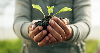 Buy stock photo Person hands, plants and gardening soil in sustainability, eco friendly farming and vegetables in agriculture. Worker or Farmer palm with sprout, growth and fertilizer for agro project in greenhouse