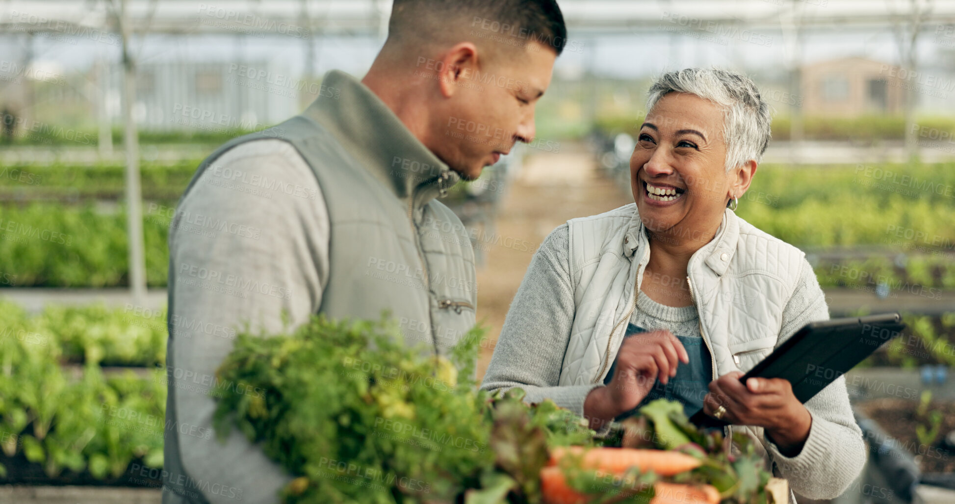 Buy stock photo People, teamwork and tablet for greenhouse vegetables, agriculture and sustainability or gardening in agro business. Happy manager and food farmer on digital tech for harvest, farming and e commerce