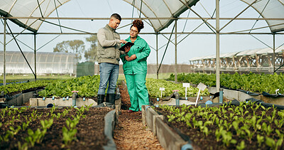 Buy stock photo Farmer, woman and tablet in greenhouse or agriculture gardening for land growth, compost or business. Man, inspection person and talking vegetable dirt for online checklist, nature soil or compliance