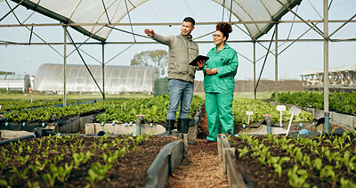 Buy stock photo Man, woman and tablet in greenhouse or agriculture gardening, land growth or compost business. Farmer, teamwork and vegetable dirt or inspection manager for soil field for nature, compliance or plant