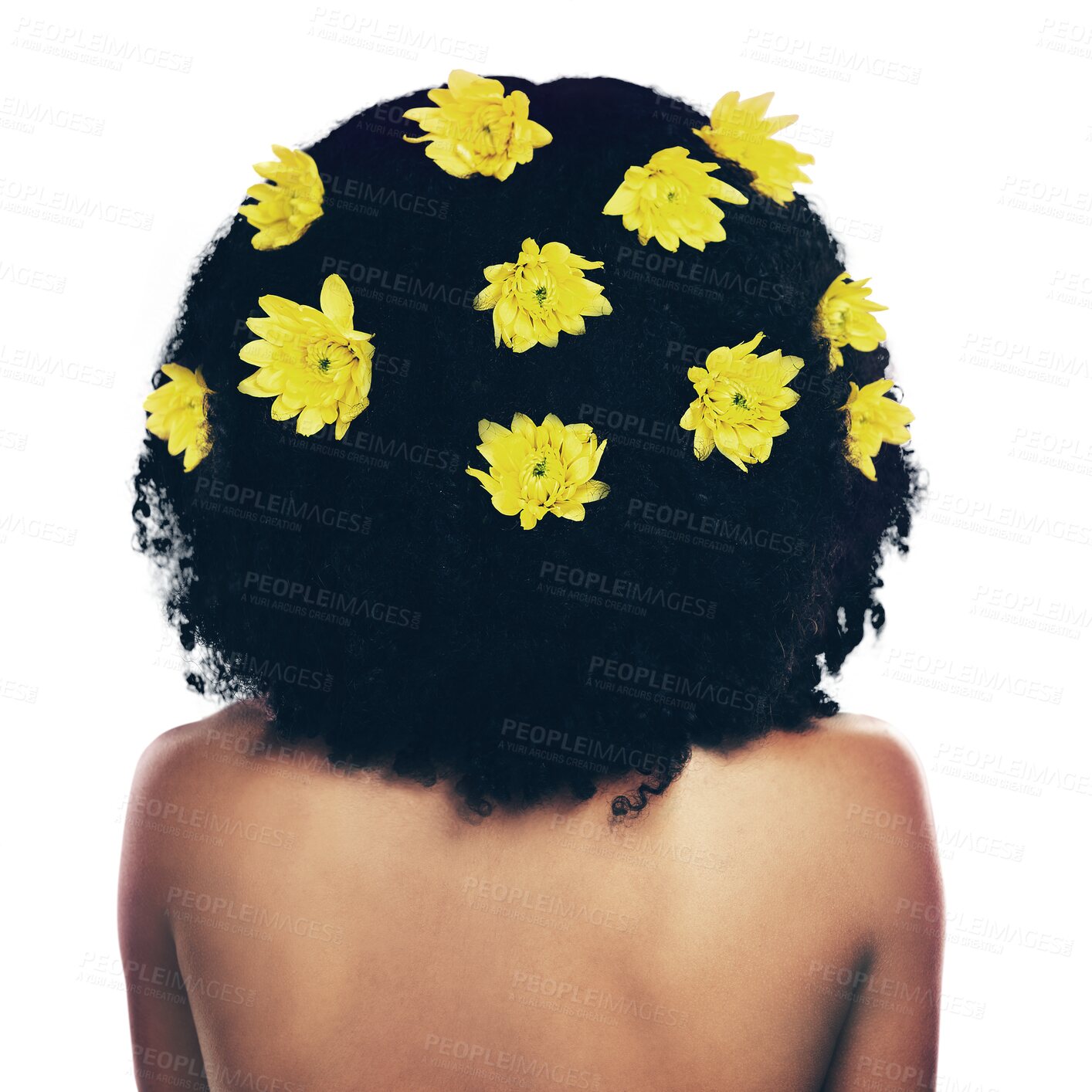 Buy stock photo Flowers, natural hair and afro person with real healthy hairstyle texture, wellness or spa grooming. Salon hygiene, back and floral model with beauty self care isolated on transparent, png background