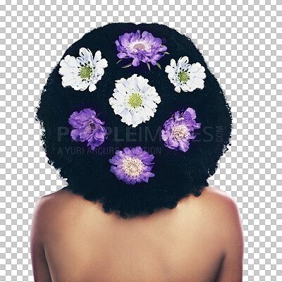 Buy stock photo Flowers, natural hair care and afro person with real floral hairstyle, wellness or spa salon grooming. Haircut, back and clean sustainable shampoo treatment isolated on transparent, png background