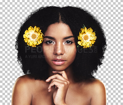 Buy stock photo Beauty portrait, African woman and afro hair flowers, skin cosmetics or eco sustainable shampoo treatment. Natural face, real creative hairstyle or floral girl isolated on transparent, png background