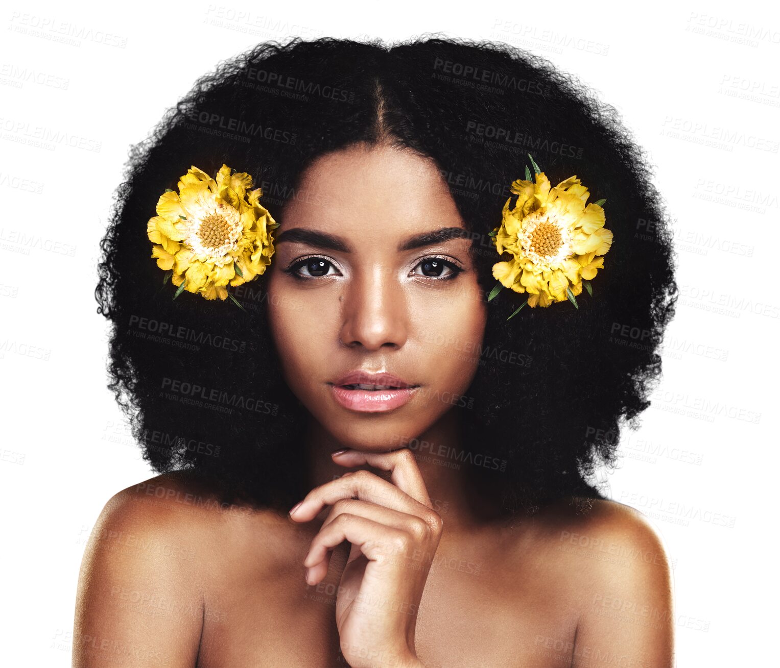 Buy stock photo Beauty portrait, African woman and afro hair flowers, skin cosmetics or eco sustainable shampoo treatment. Natural face, real creative hairstyle or floral girl isolated on transparent, png background