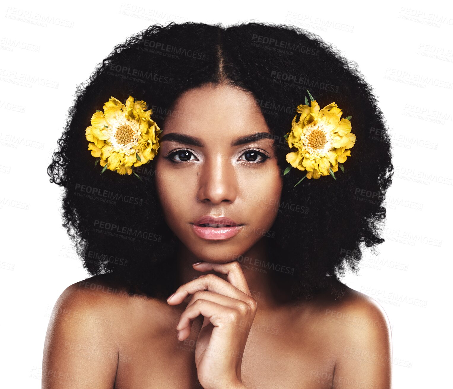 Buy stock photo Skincare portrait, African woman or afro hair flower, beauty or sustainable shampoo treatment. Natural anti aging face, spa salon hairstyle or floral girl isolated on transparent, png background