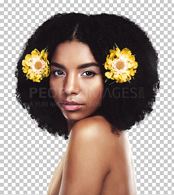 Buy stock photo Portrait, beauty and flowers with a natural black woman isolated on a transparent background for wellness. Face, skincare and afro with a confident young model on PNG for aesthetic treatment