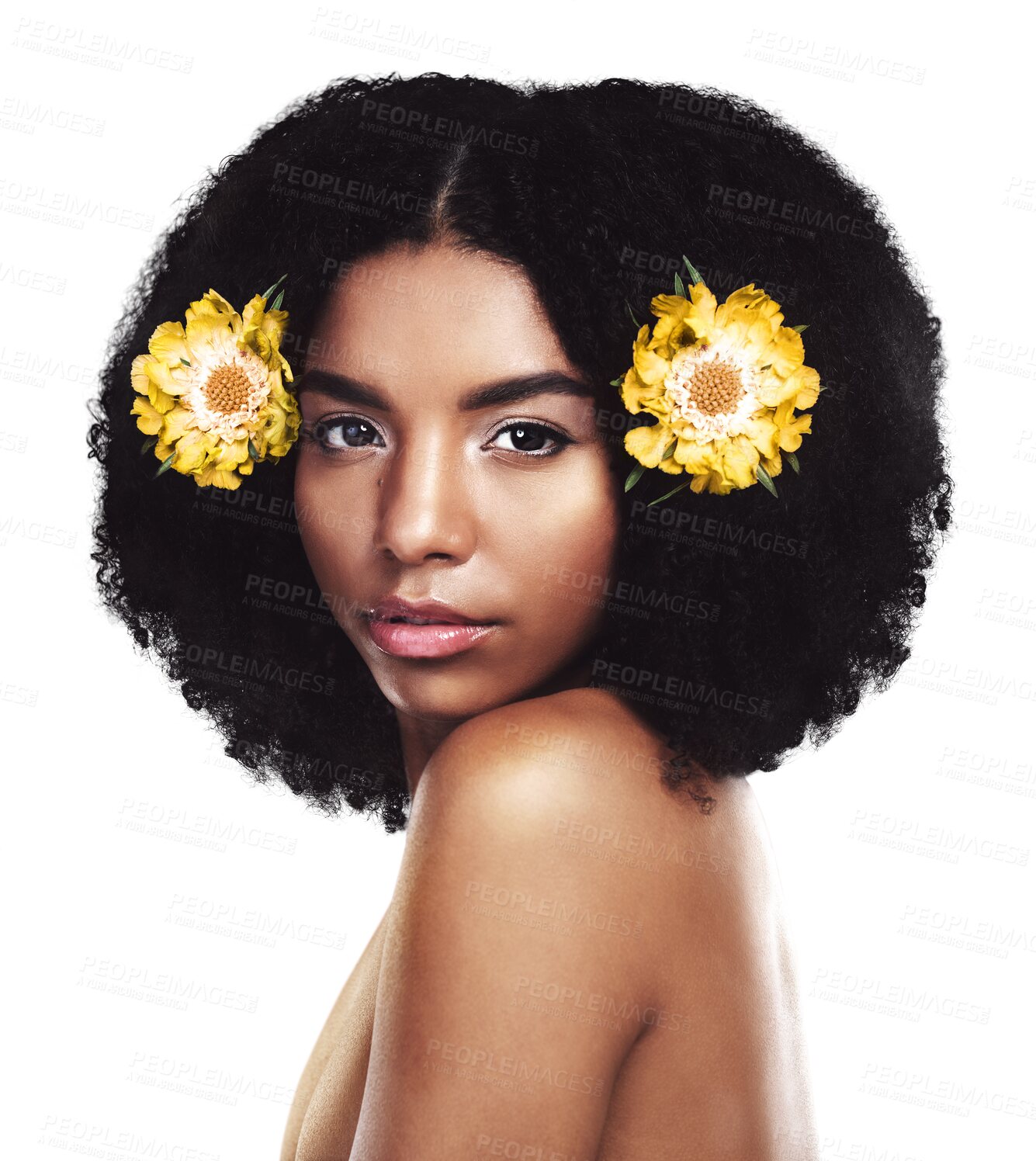 Buy stock photo Portrait, beauty and flowers with a natural black woman isolated on a transparent background for wellness. Face, skincare and afro with a confident young model on PNG for aesthetic treatment