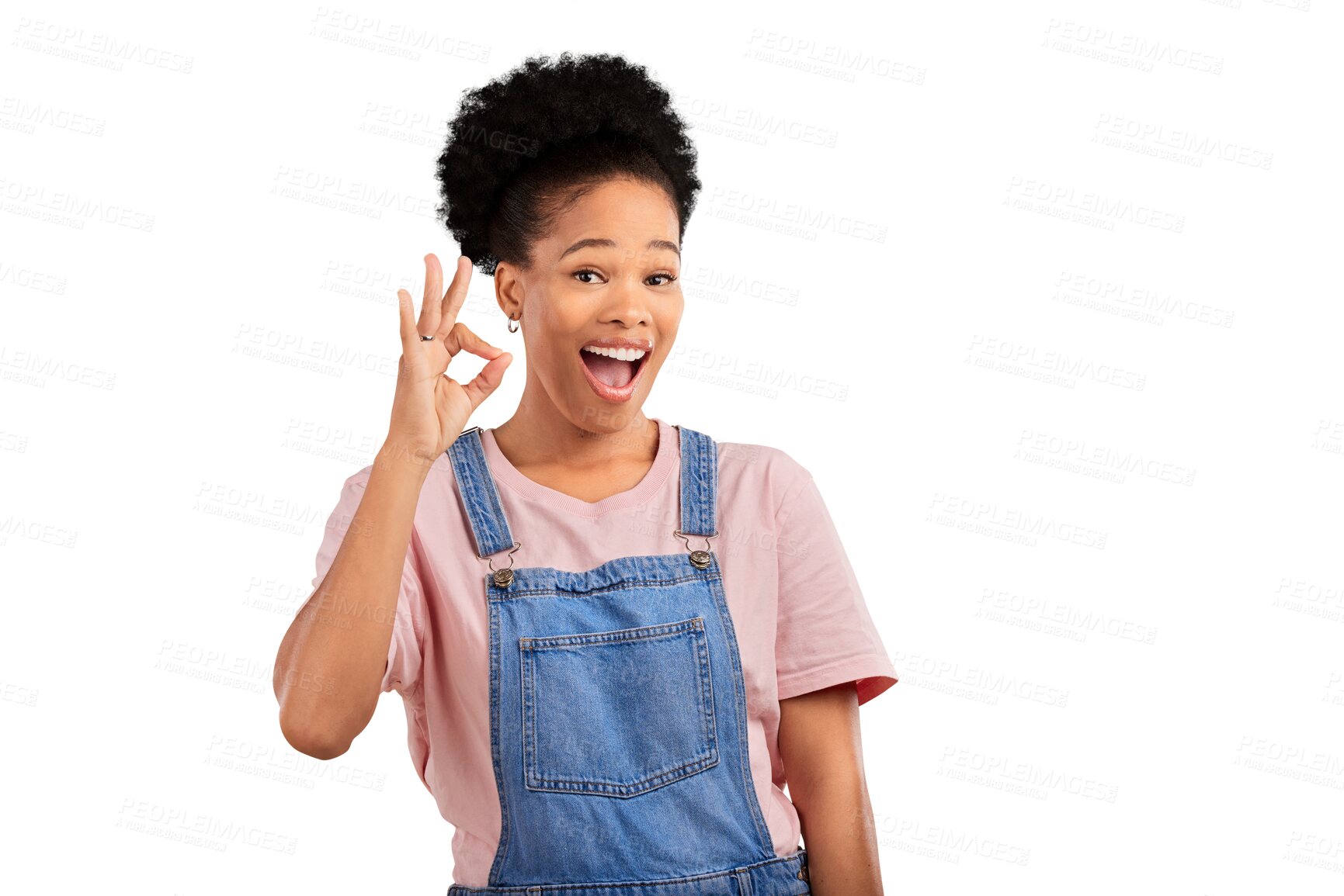 Buy stock photo Wow, portrait and woman with okay hands for support, agreement or vote on isolated, transparent or png background. Excited and female model perfect emoji for success, thank you for feedback sign