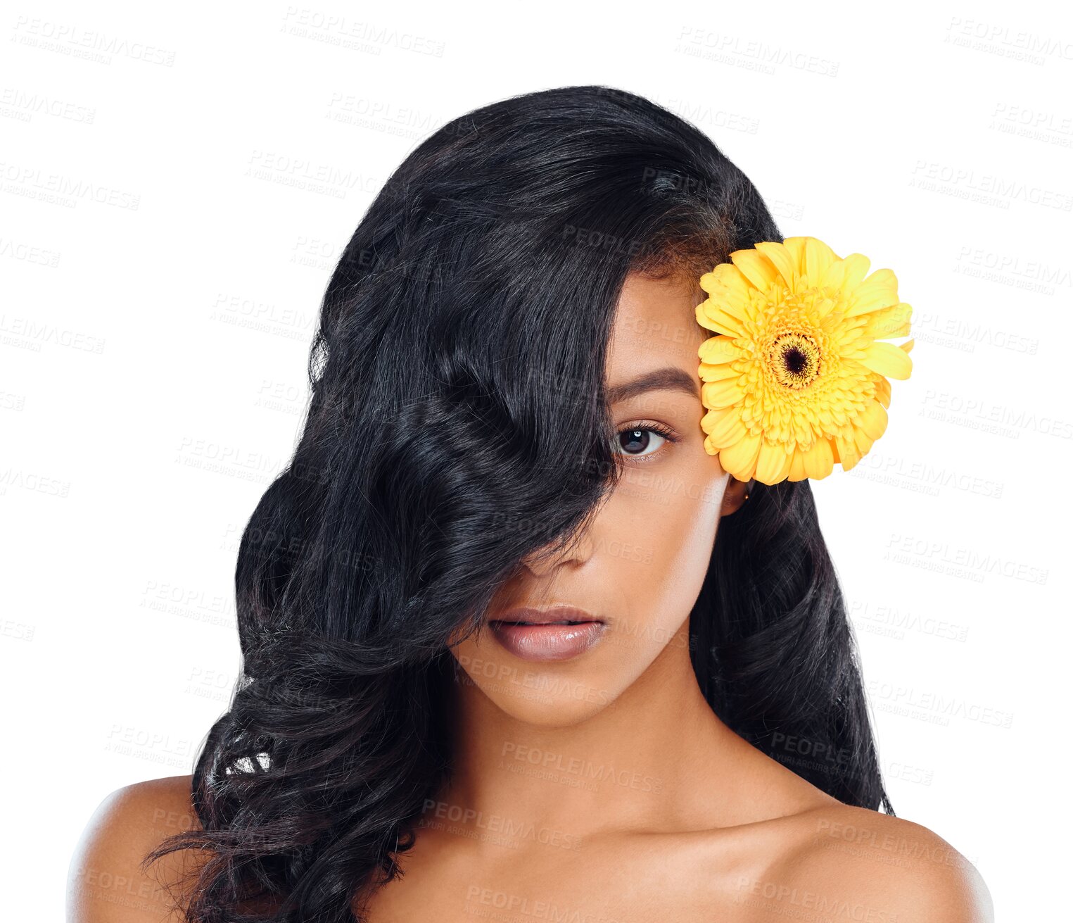 Buy stock photo Hair, beauty and portrait of woman with flower on isolated, png and transparent background. Hair salon, spa aesthetic and face of person with floral bloom for natural cosmetics, makeup and skincare