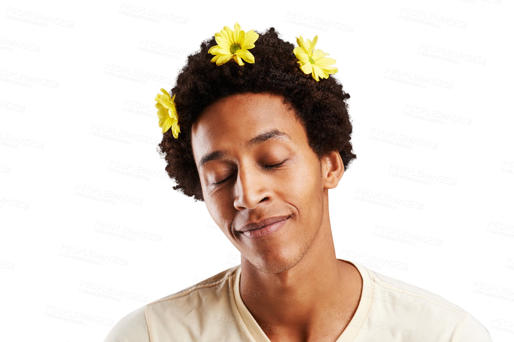 Buy stock photo Man, eyes closed and smile with flowers in hair for natural, fragrance and organic treatment. Black person, afro and satisfied expression on face for result on isolated or transparent png background