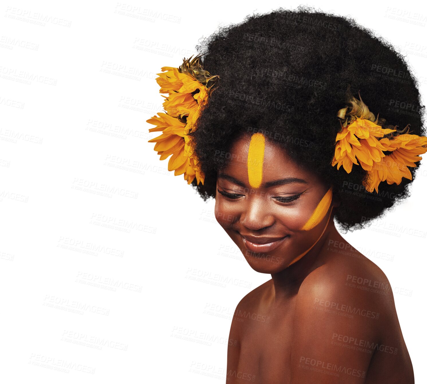 Buy stock photo Hair care, sunflowers and black woman in afro, beauty and natural isolated on a transparent png background. Cosmetics, makeup and African person with floral, organic salon treatment and facial glow