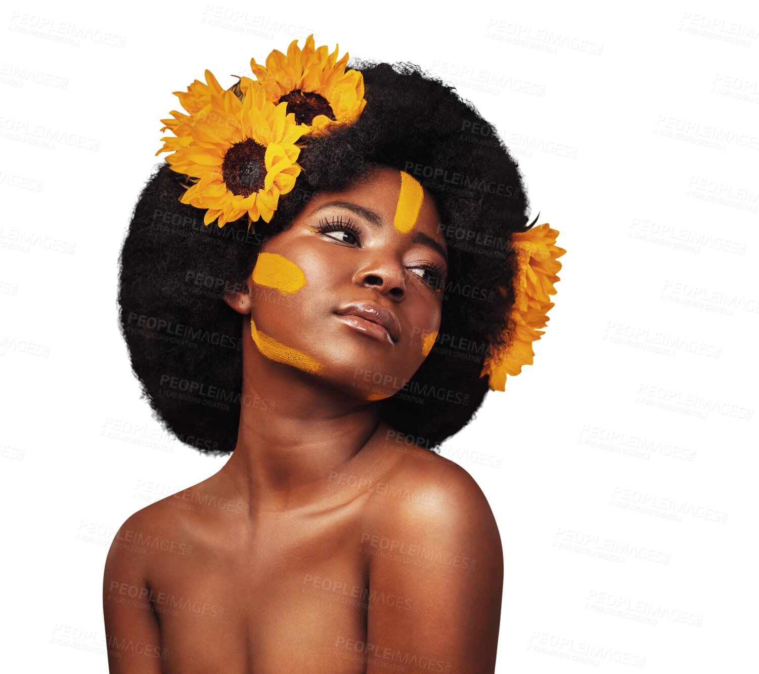 Buy stock photo Hair care, sunflowers and black woman in afro, natural and beauty isolated on a transparent png background. Cosmetics, makeup and serious person in floral hairstyle, facial and thinking of treatment