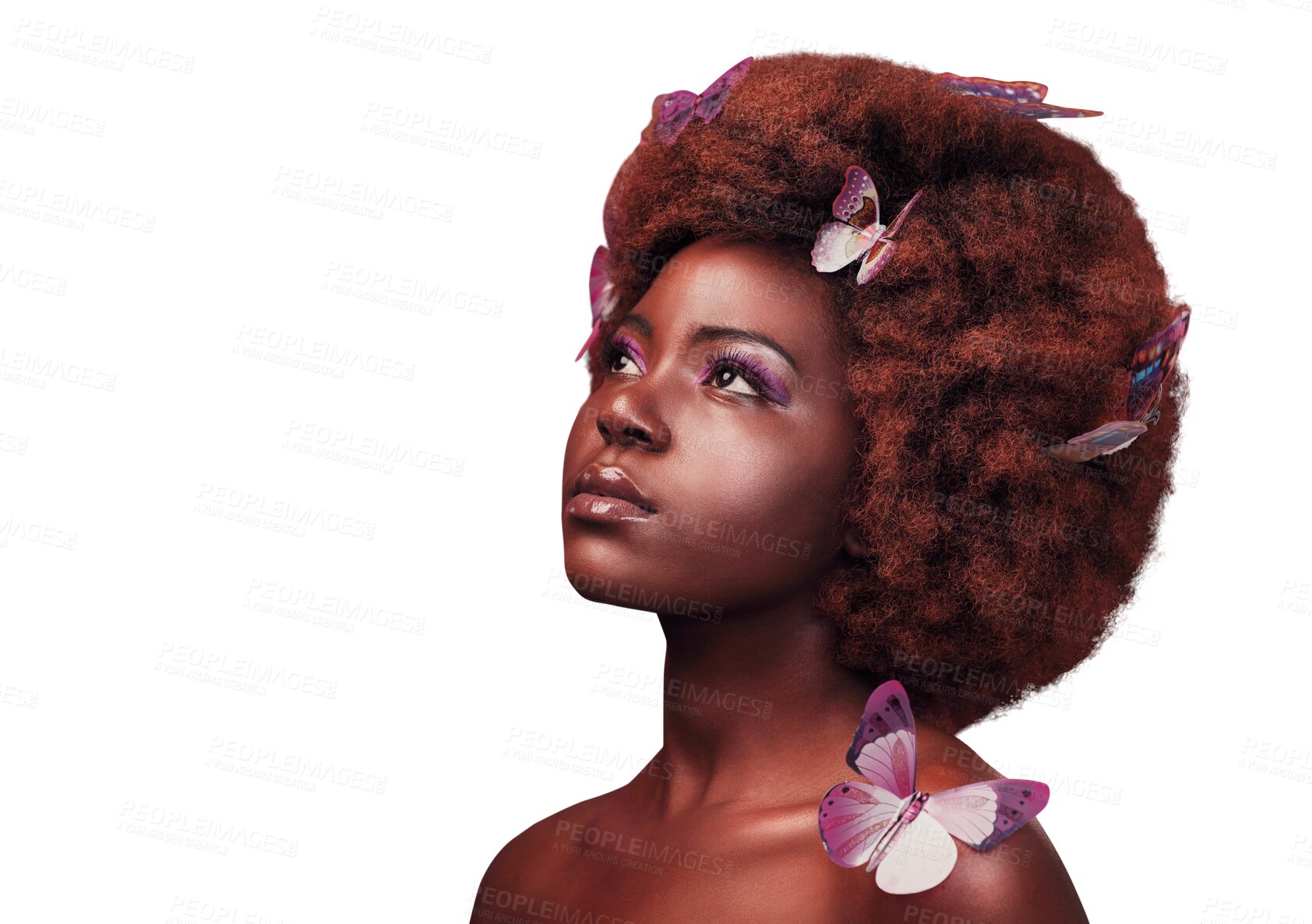 Buy stock photo Black model, beauty and makeup with butterflies in hair, cosmetics and serious with natural glow for relax wellness. African woman, creative and confident and isolated on transparent png background