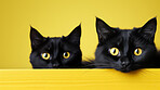 Curious black cats looking across table, yellow background.