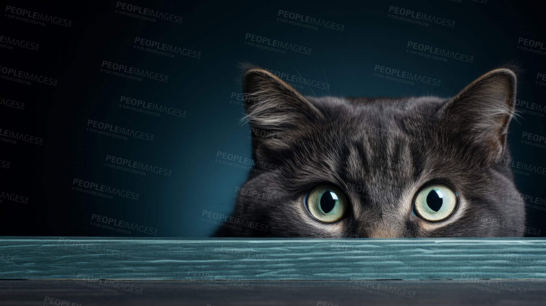 Buy stock photo Curious cat looking across table, colourful background.