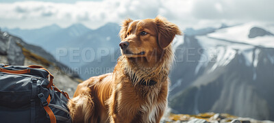 Buy stock photo Happy portrait of a dog sitting. Background of mountains and blue sky. Fit dog or companion