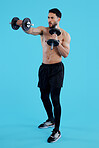 Dumbbells, fitness and man in studio for training, exercise or bodybuilding on blue background. Health, wellness and topless guy bodybuilder with bicep workout, muscle or flex, progress or resilience