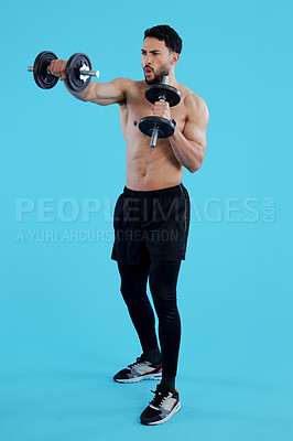 Buy stock photo Dumbbells, fitness and man in studio for training, exercise or bodybuilding on blue background. Health, wellness and topless guy bodybuilder with bicep workout, muscle or flex, progress or resilience