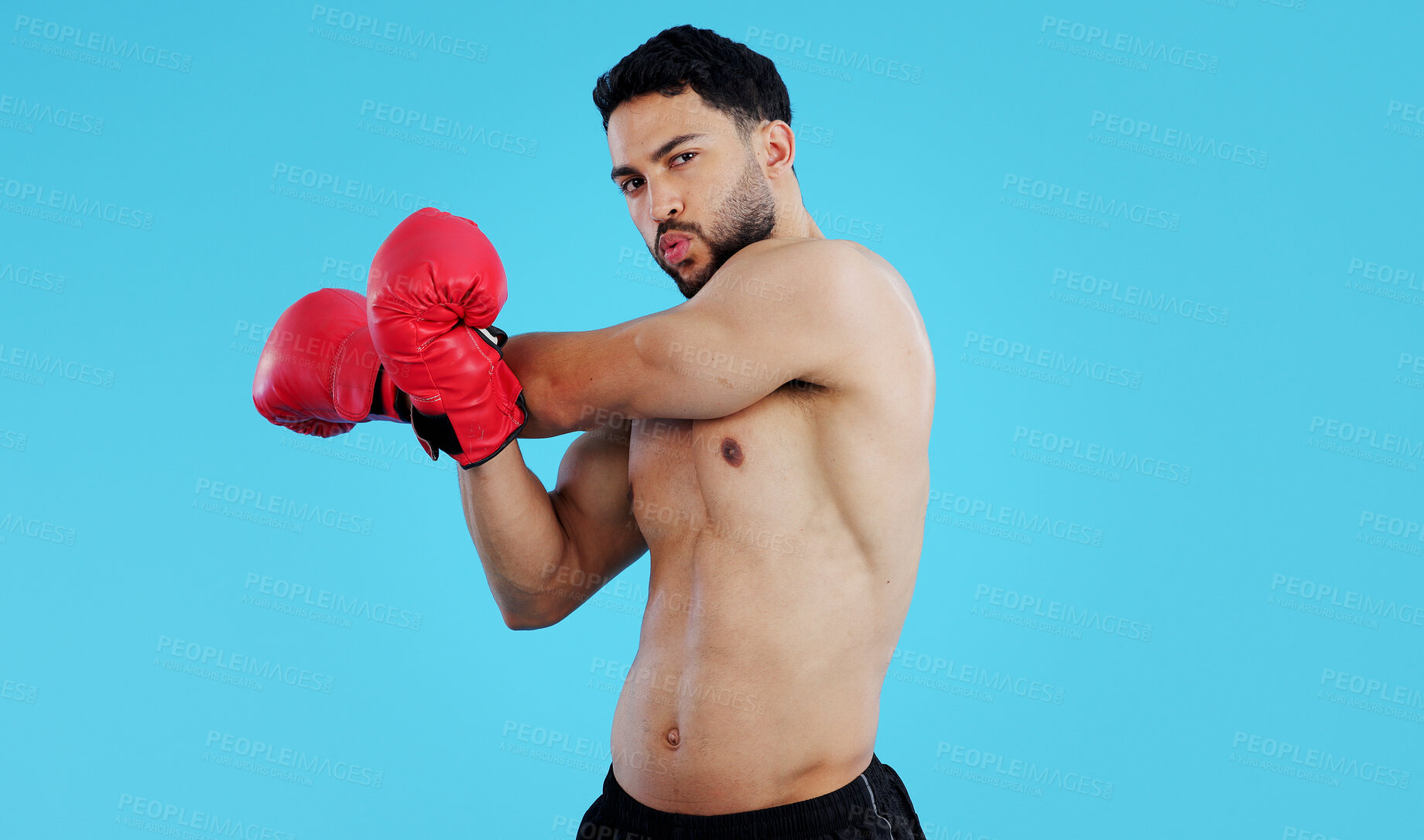 Buy stock photo Fitness, boxer and portrait of man stretching in studio for workout, training or mindset on blue background. Health, exercise and face of male athlete with boxing gloves for body, warm up or sports