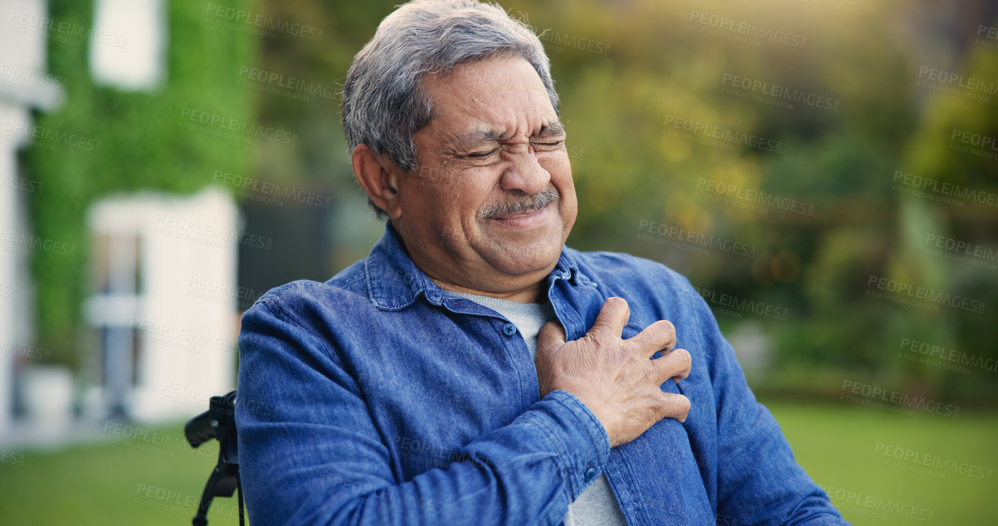 Buy stock photo Elderly man, heart attack and emergency in wheelchair in garden, retirement and cardiac arrest in nature. Senior person, chest pain and anxiety for healthcare crisis, fear and medical risk by lawn 