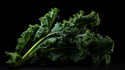 Fresh, kale and green leaf isolated on a black background for diet, health and detox. Organic, leaves, produce from garden for salad, benefits, and wellness food photography on a dark backdrop
