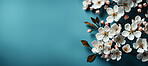 Flowers, petals and bouquet on a blue background for decoration, creativity or art with fresh and colorful plant bunch. Creative, still life and concept, floral arrangement in a studio for mockup.