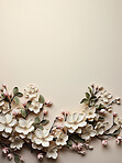 Flowers, petals and bouquet on a cream background for decoration, creativity or art with fresh and colorful plant bunch. Creative, still life and concept, floral arrangement in a studio for mockup.
