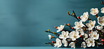 Flowers, petals and bouquet on a blue background for decoration, creativity or art with fresh and colorful plant bunch. Creative, still life and concept, floral arrangement in a studio for mockup.