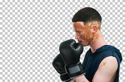 Buy stock photo Man with vitiligo, profile and boxer for fight, self defense or training isolated on a transparent PNG background. Face of person, boxing or fighter with skin pigmentation or gloves in sport fitness