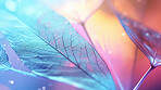 Magnolia, Leaf skeletons and iridescent x-ray of dried leaves for art, ornament and creativity. Colourful, vibrant and holographic detailed closeup of plant for background, backdrop and wallpaper design