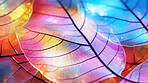 Magnolia, Leaf skeletons and iridescent x-ray of dried leaves for art, ornament and creativity. Colourful, vibrant and holographic detailed closeup of plant for background, backdrop and wallpaper design