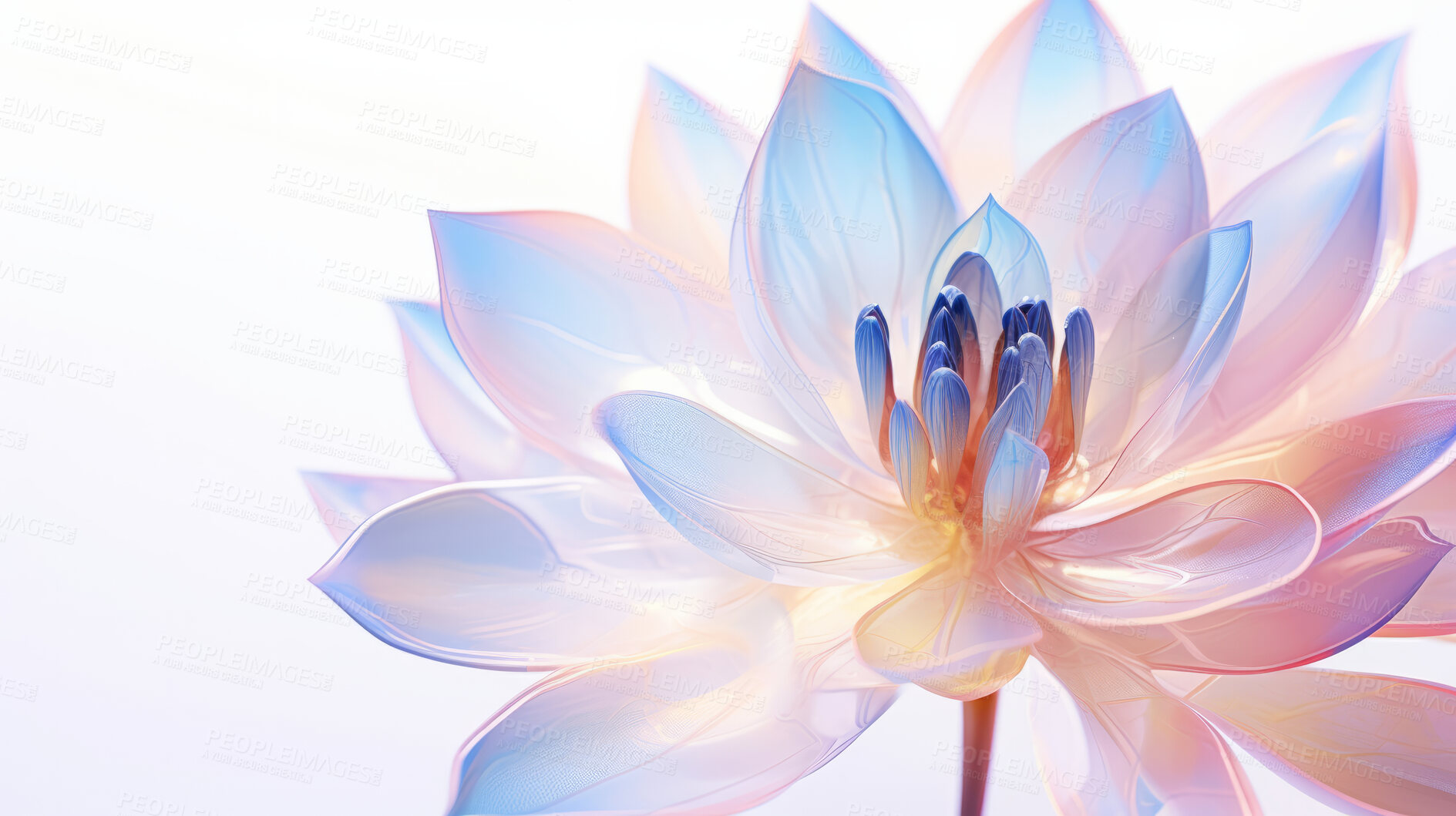 Buy stock photo Beautiful, colourful or wildflower x-ray on a white background for wallpaper, print and abstract art. Creative, vibrant or transparent closeup of a plant for science, blueprint or nature photography
