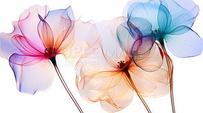Beautiful, colourful or wildflower x-ray on a white background for wallpaper, print and abstract art. Creative, vibrant or transparent closeup of a plant for science, blueprint or nature photography