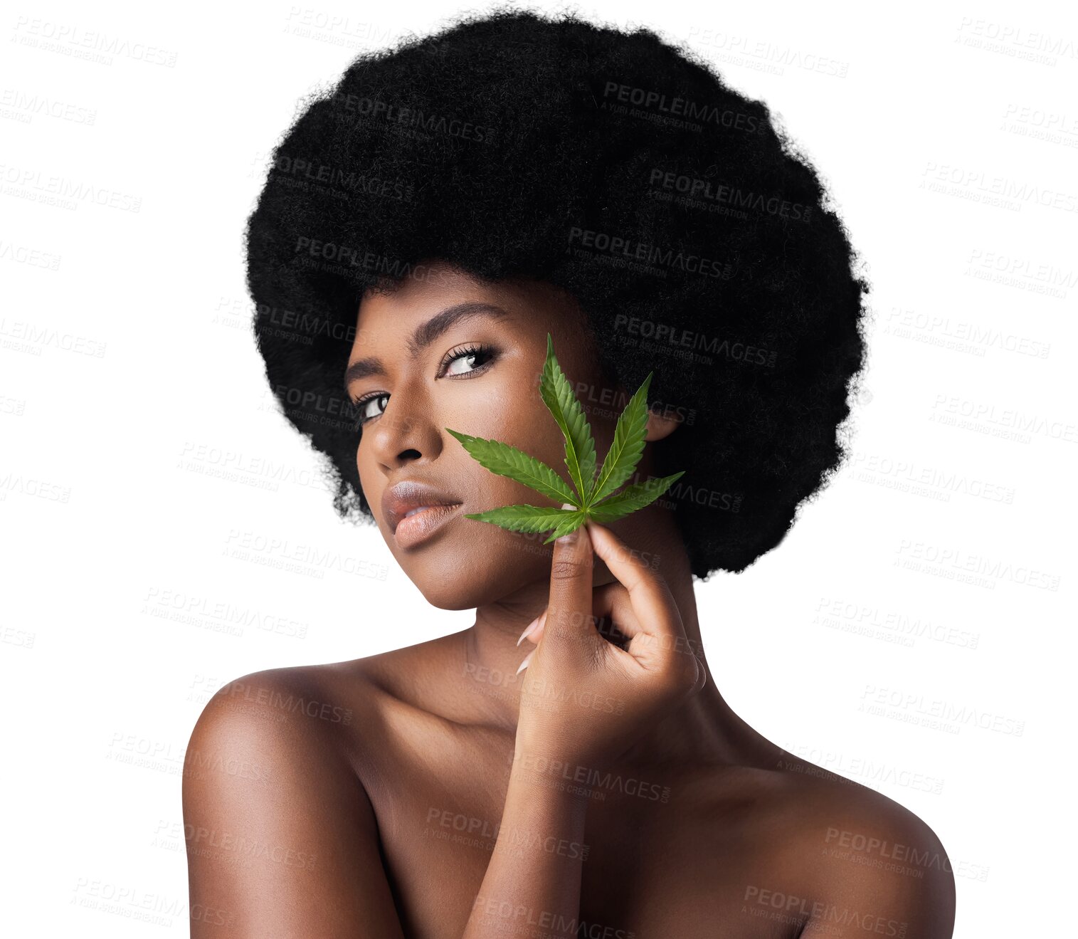 Buy stock photo Black woman, skincare and marijuana leaves in portrait, afro or isolated for beauty by transparent png background. Girl, model and person with plant for cbd, oil or natural for facial transformation