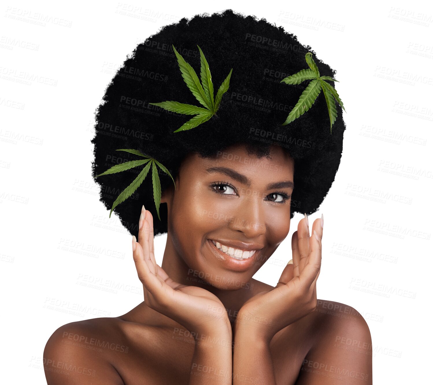 Buy stock photo Woman, beauty and cannabis leaves in portrait, afro or isolated in skincare by transparent png background. Girl, model or African person for plant, cbd oil or natural change for facial transformation