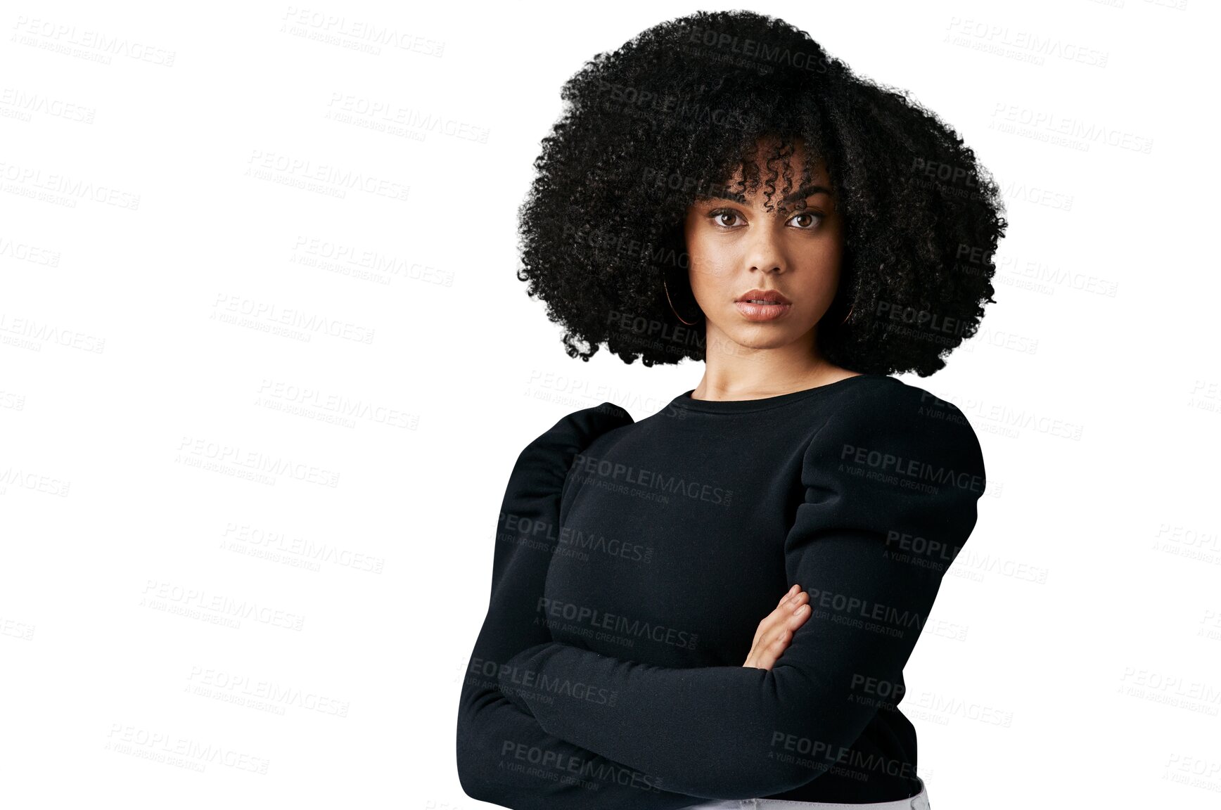 Buy stock photo Woman, confidence and fashion in portrait, pride and afro or isolated on transparent png background. Black female person, face and elegant outfit or stylish clothing, beauty and fancy aesthetic