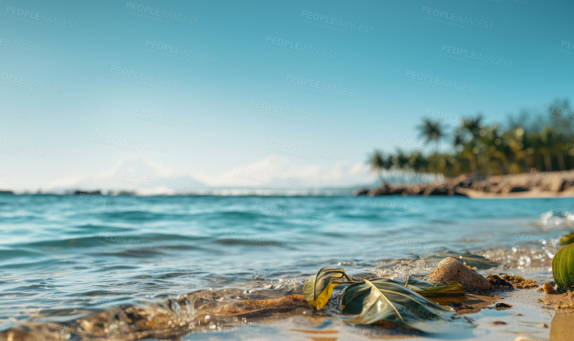 Buy stock photo Seashore, palm trees and beach landscape with mock up or travel. Tropical paradise, dream vacation or island holiday, Background, summer wallpaper and relax in nature, sun and blue sea waves