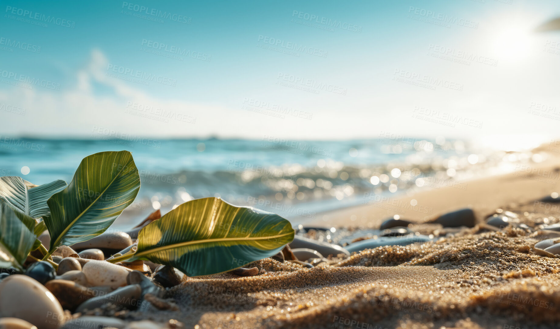 Buy stock photo Closeup, seashells and beach leaves for travel, mock up and space in tropical, holiday and paradise on dream vacation. Background, summer wallpaper and relax in nature, island and blue sea wave