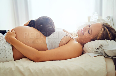 Buy stock photo Shot of a pregnant woman lying in bed with her dog