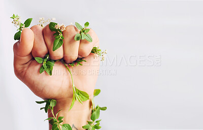 Buy stock photo Woman hand, nature and fist with leaves for eco warrior, fight and revolution for sustainability protest. White background, studio and person with leaf and green plant in hands for environment rally
