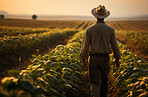 Back, crop and sunset field for farmer walking in soybean agriculture, environment and harvest. Organic food, person and nutritious protein produce on land for service industry and agribusiness