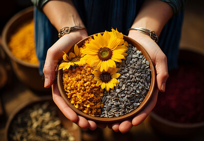 Closeup, hands and person holding sunflower seeds from farming, agriculture and environment harvest. Organic food, farmer and nutritious produce in bowl for service industry and agribusiness