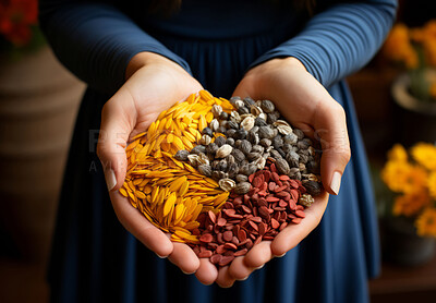 Closeup, hands and person holding sunflower seeds from farming, agriculture and environment harvest. Organic food, farmer and nutritious produce in store for service industry and agribusiness